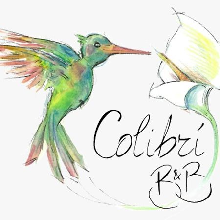 Colibri B&B ชากกา ภายนอก รูปภาพ