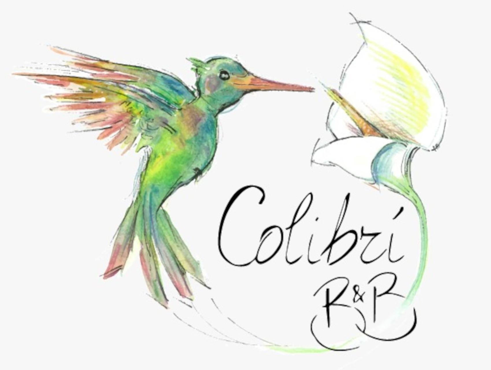 Colibri B&B ชากกา ภายนอก รูปภาพ